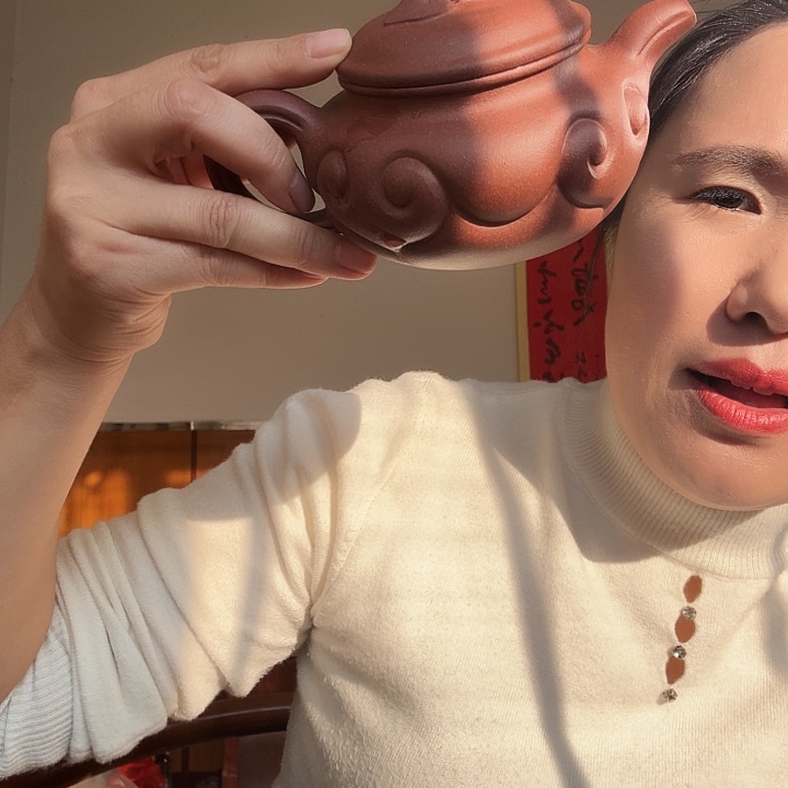 紫砂茶壶紫泥底槽青仿古如意309cc