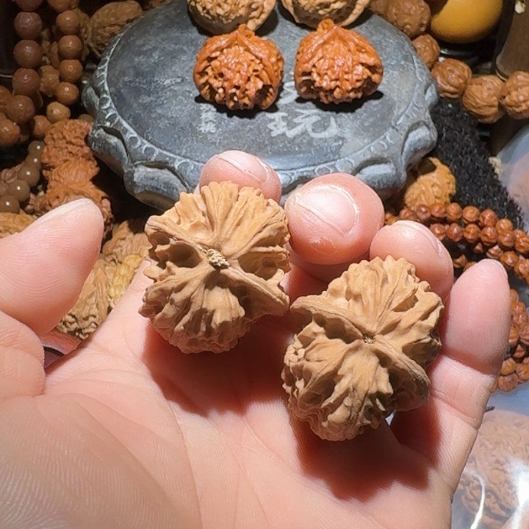 核桃产区兴隆山地 野生核 无名