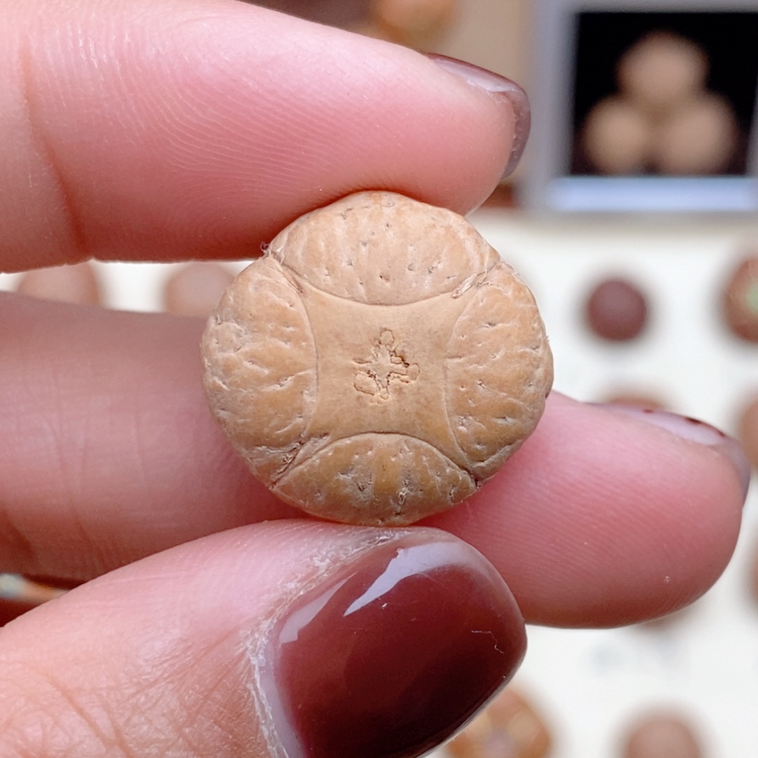 龙眼菩提吊坠麒麟