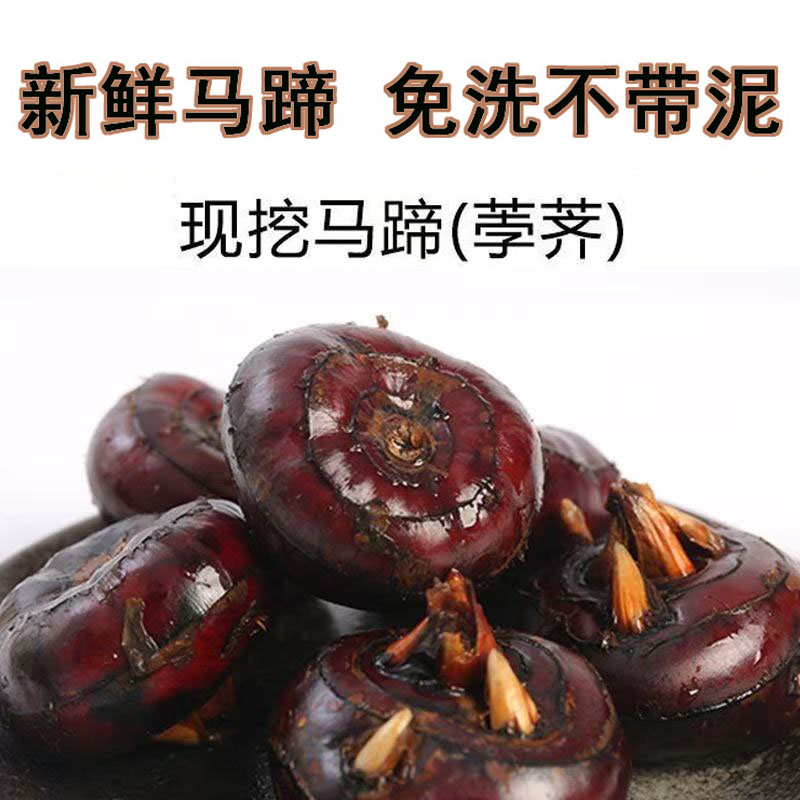 【免洗带皮马蹄】新鲜马蹄荸荠现挖 水果蔬菜脆甜多汁下单送去皮刀