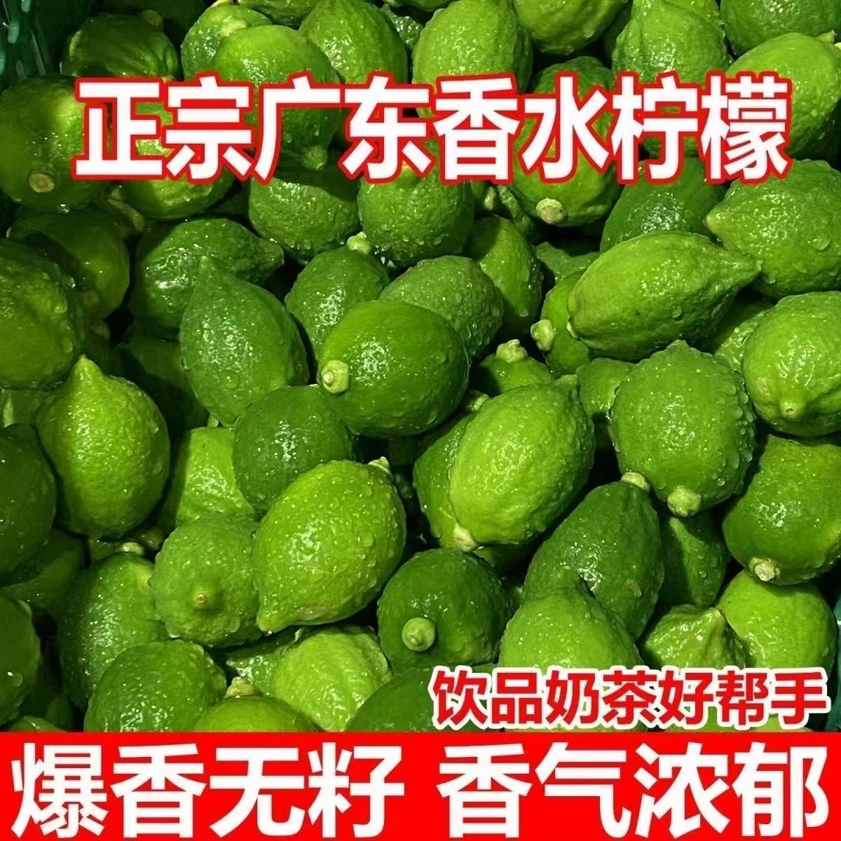 广东无籽香水柠檬新鲜现摘次一级果奶茶店商用专用