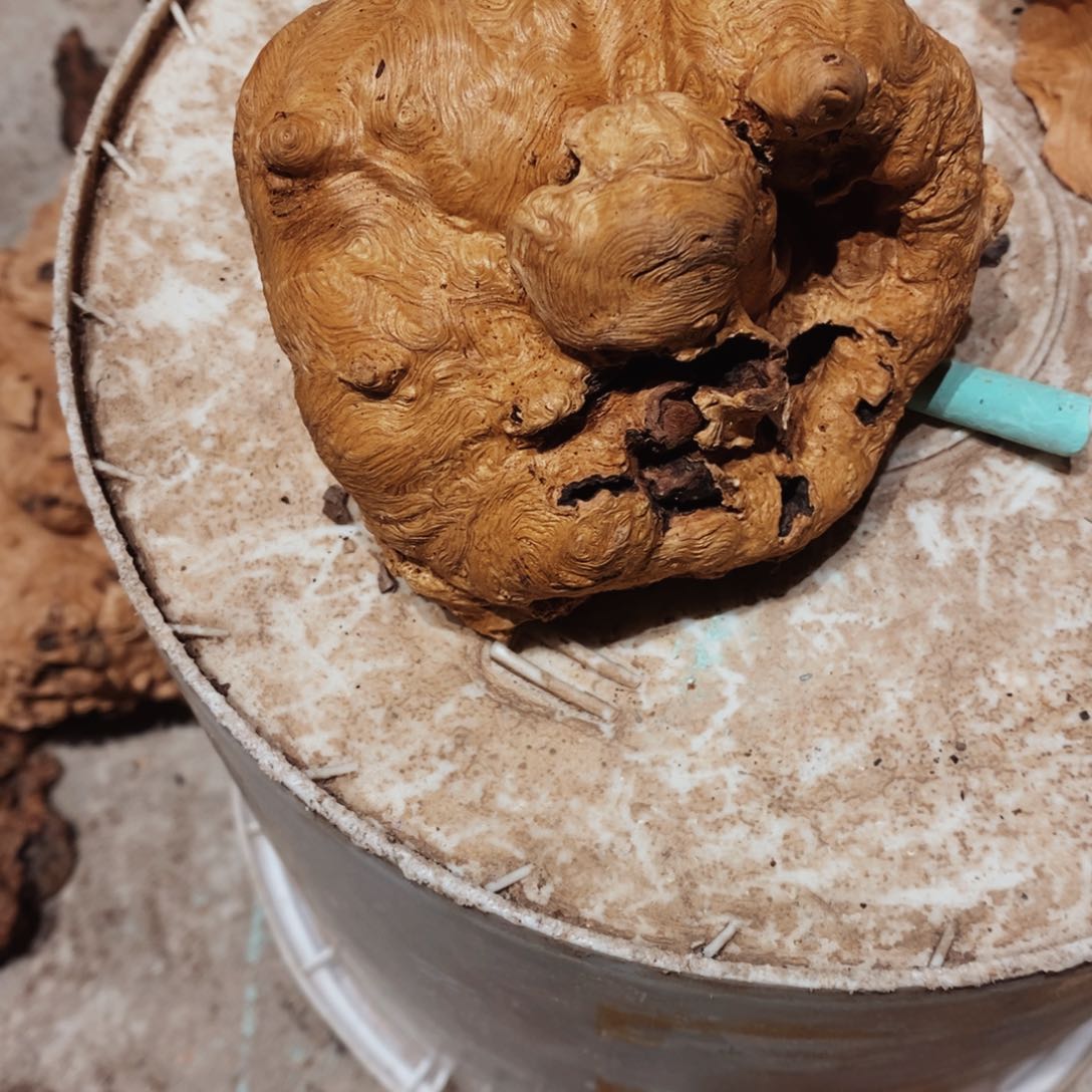 荔枝木*️随形香炉木材