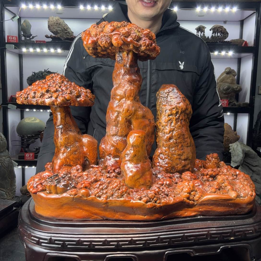 古铜石奇石灵芝的