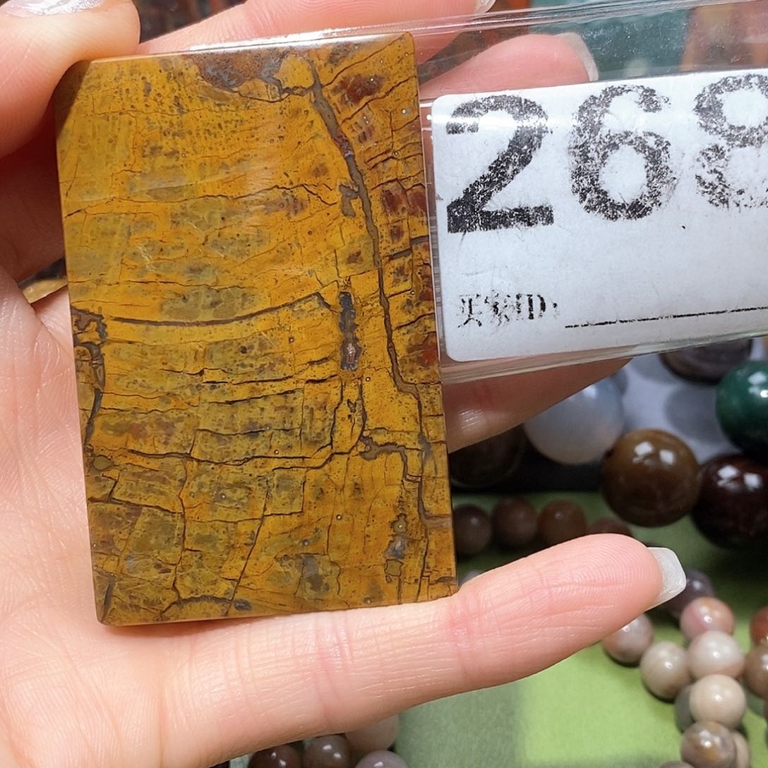 未镶嵌天然北票树化玉吊坠硅化玉