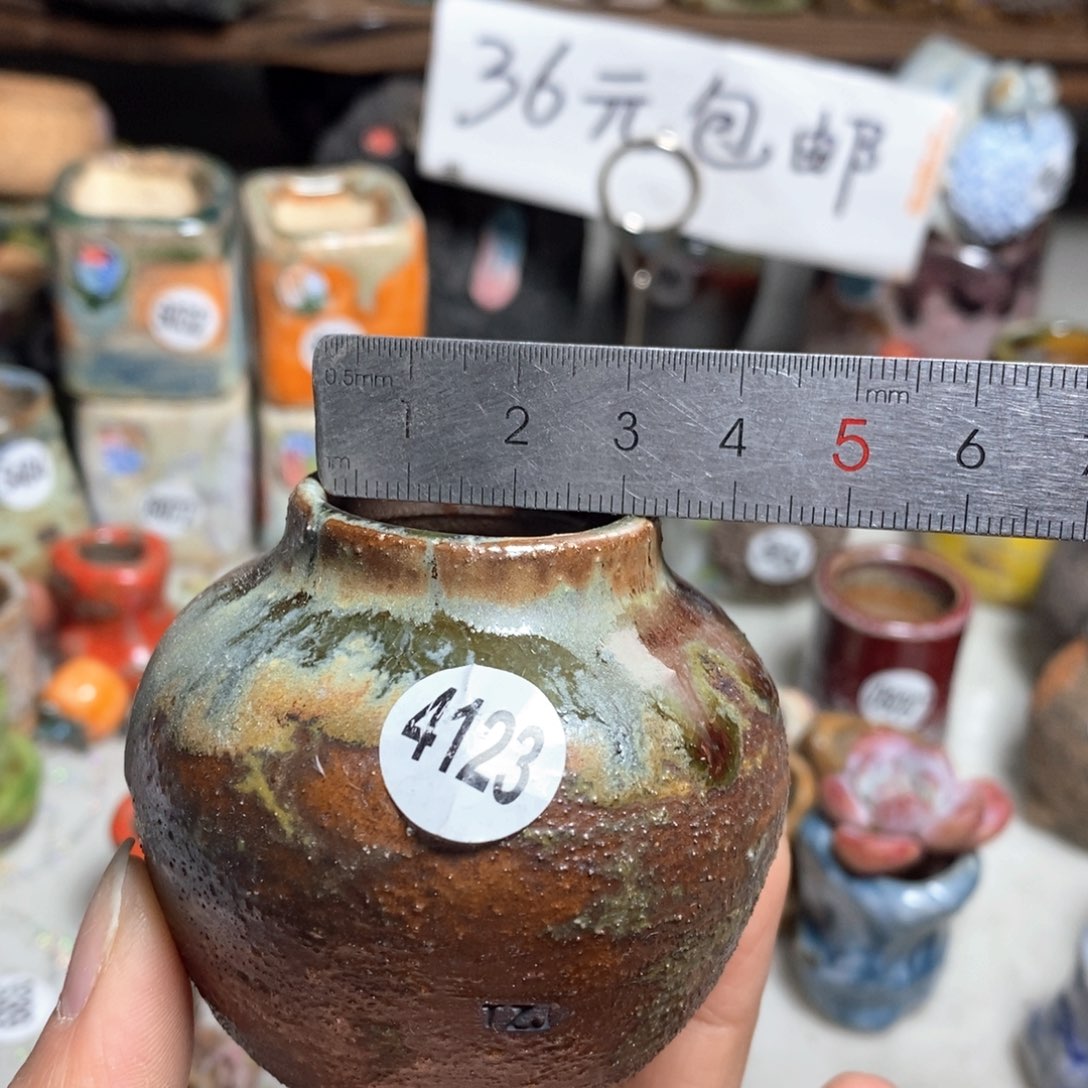 花盆拍5送一个小礼物