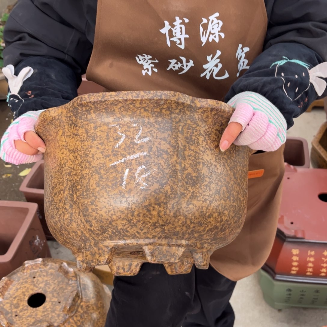 紫砂花盆盆景艺术