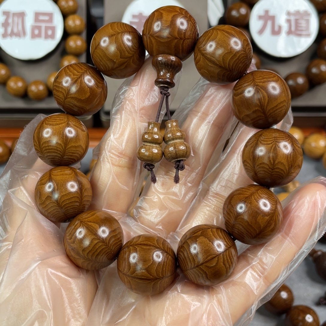 六道木枯树， 毕业2.0