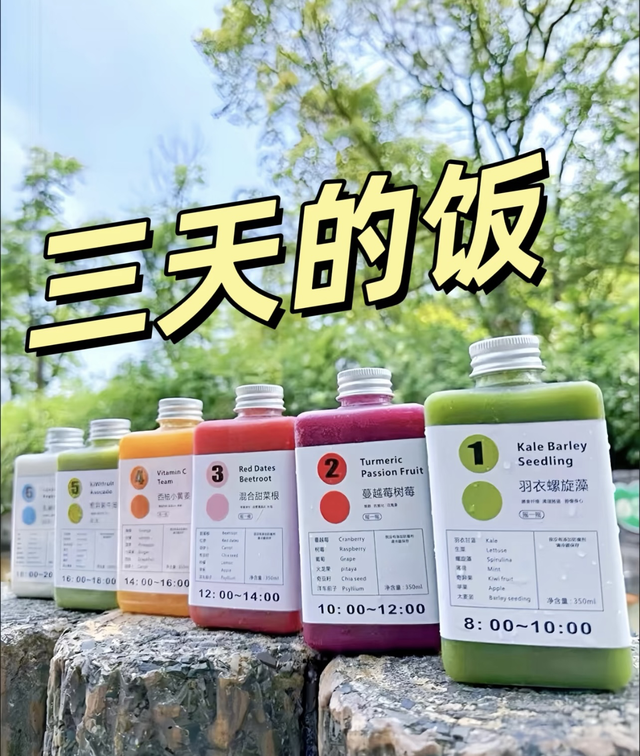 三天轻断食果蔬汁18瓶 液断鲜榨网红同款0添加夏日必备饮品饮料