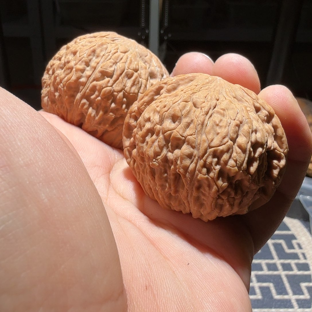 文玩核桃把件?泥鳅背