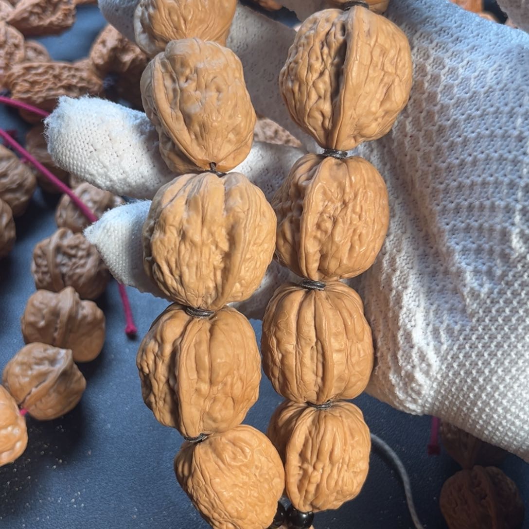 桃核手串苗*尚蛤蟆核桃