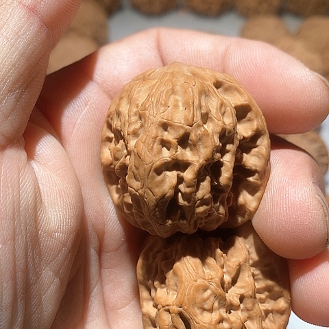 吊坠文玩核桃?***?野狼