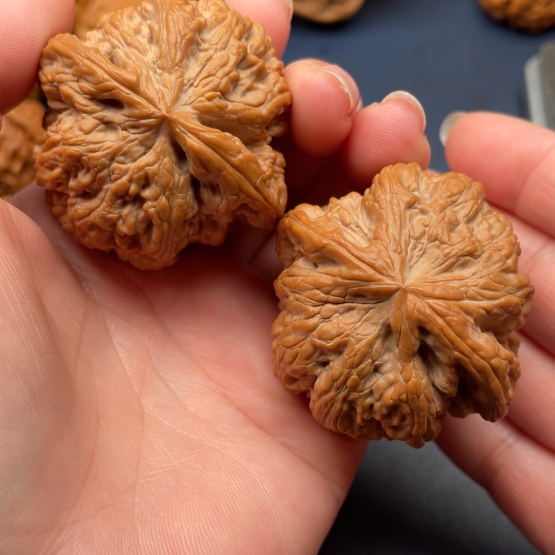 文玩核桃把件大粗筋47