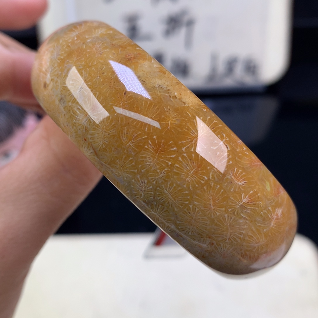 硅化珊瑚（珊瑚玉）未镶嵌吊坠(赠链)五折羽毛虫55.4圈口（22号）