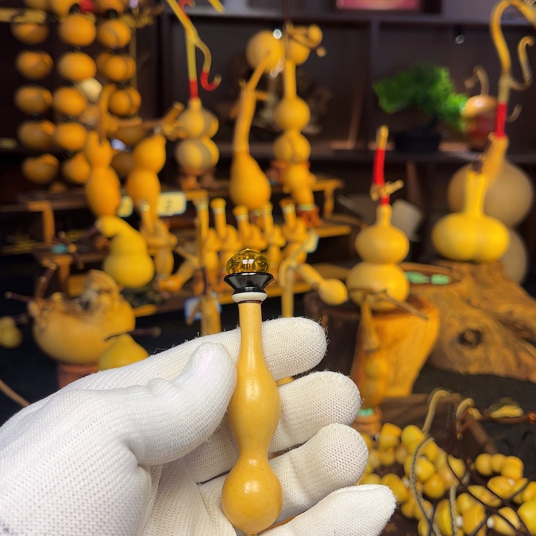 心***诚这几位朋友在这里玩转的