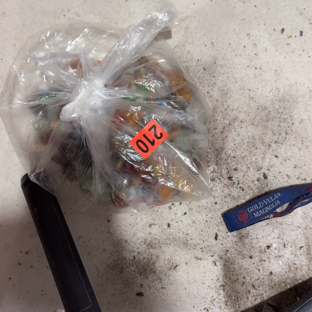 咯***牙杂色豆（科檀/科特迪瓦檀木）