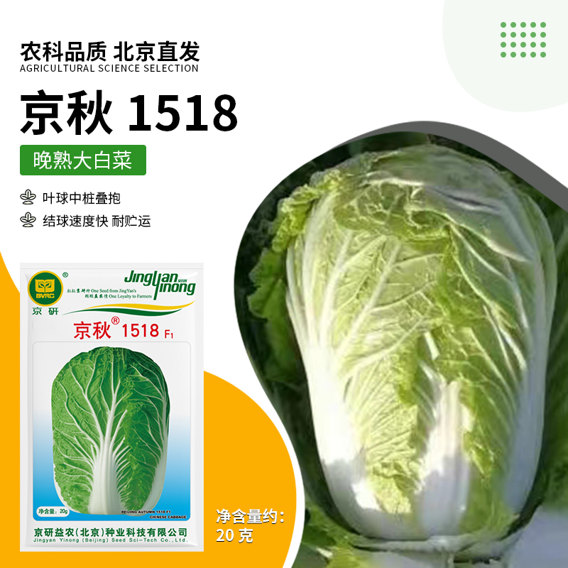 京研【农科院】核桃纹白菜种子大白菜种子蔬菜种子秋季种植秋播阳台