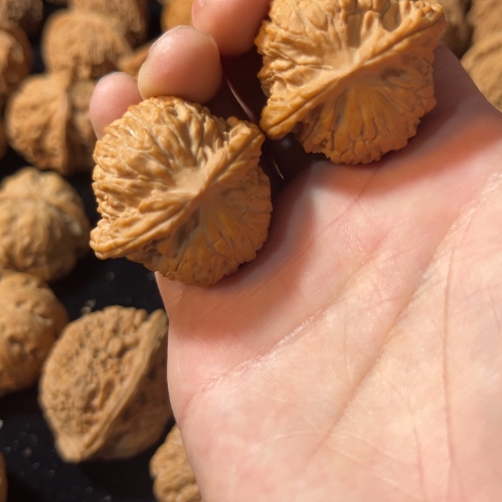 我***说文玩核桃磨盘36全品