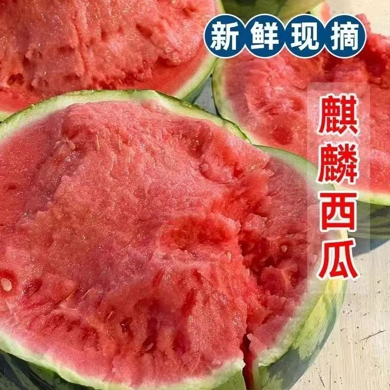 N 1云南麒麟甜王当季新鲜爆甜多汁薄皮西瓜现摘水果自然成熟