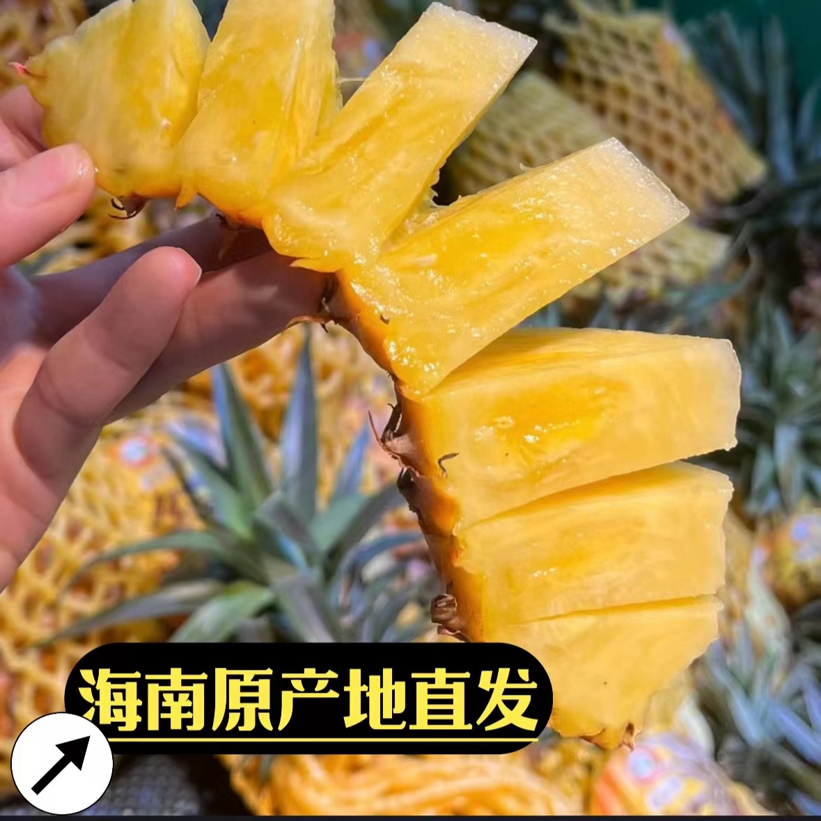 正宗海南热带水果  金砖17号凤梨  孕妇水果 爆甜多汁