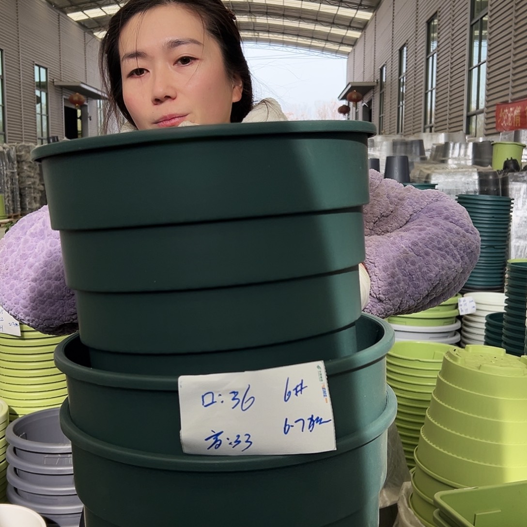 多孔盆6#墨绿3个无托