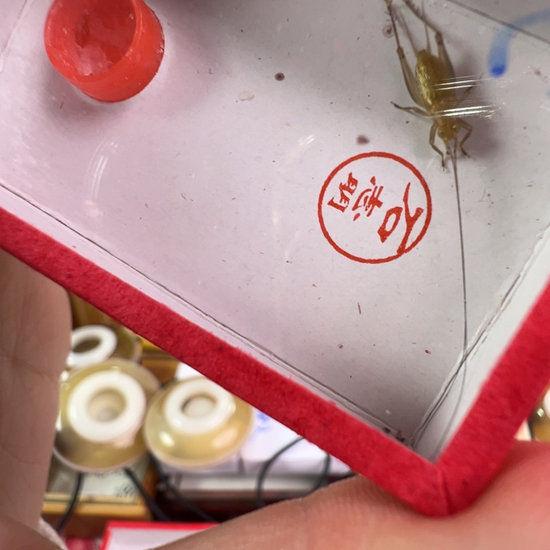 漂亮c一只合适合适