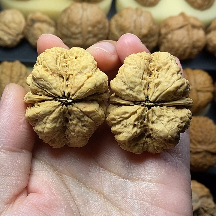 吊坠桃核蝴蝶蟾42尺