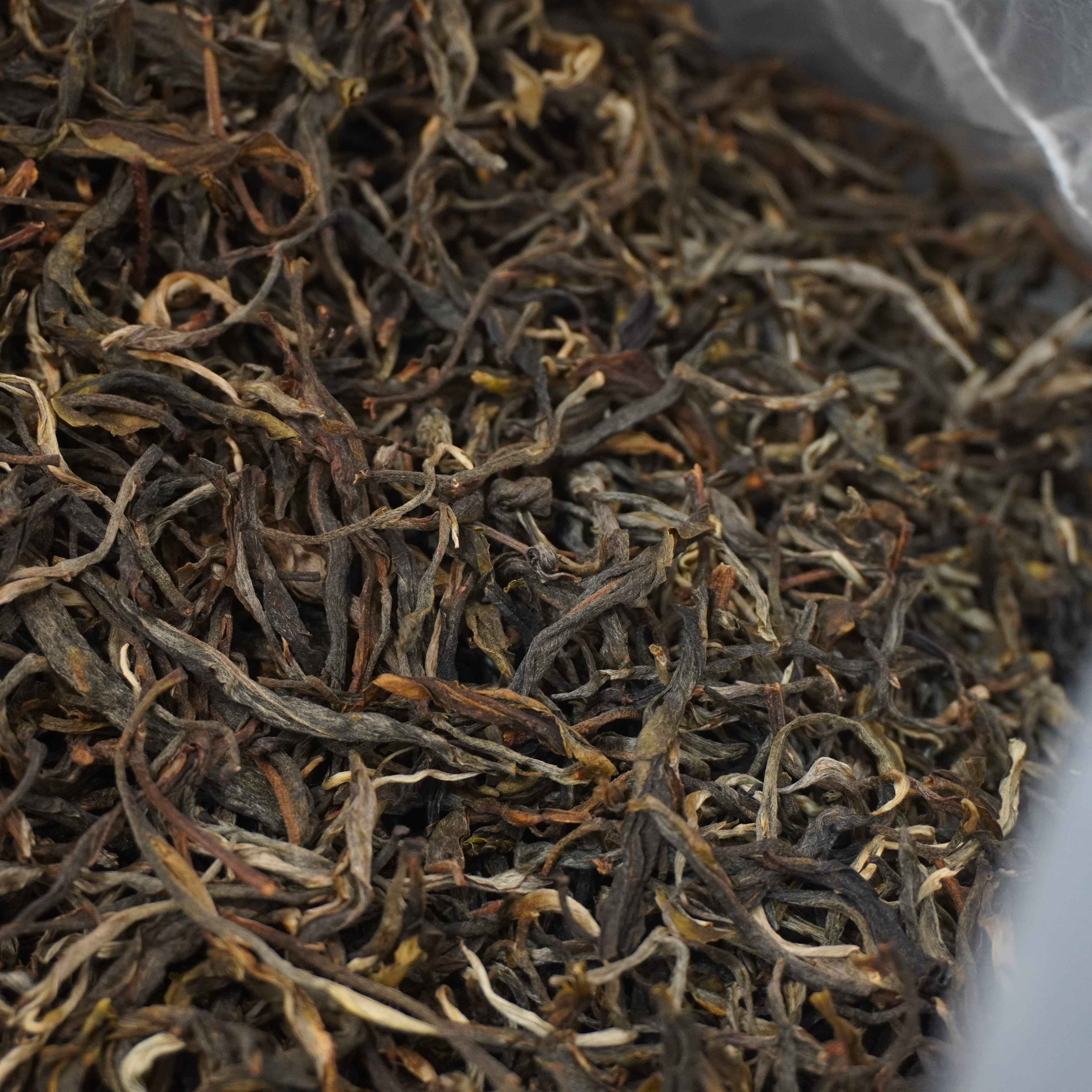 2023年 犀牛塘大单株 古树头春纯料 普洱生茶散料 