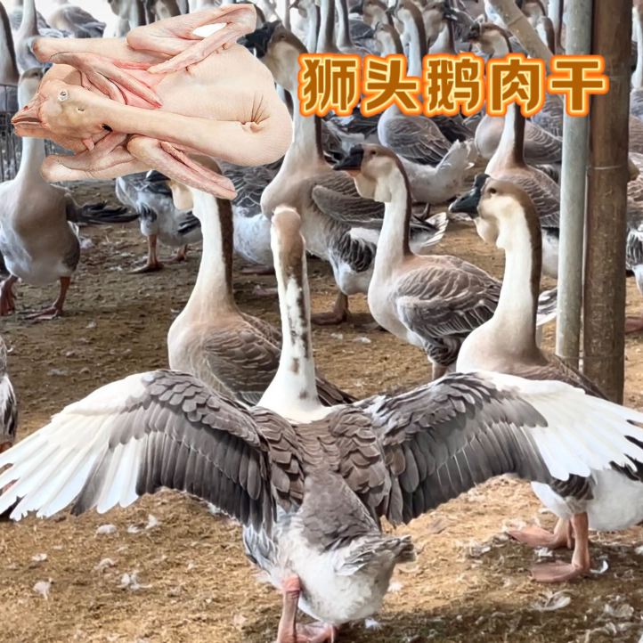 宠物零食狮头鹅肉干