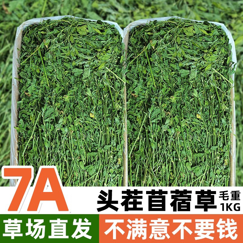 兔子草料烘干苜蓿草干草荷兰猪粮食饲料苜宿草紫花苜蓿草毛重1kg