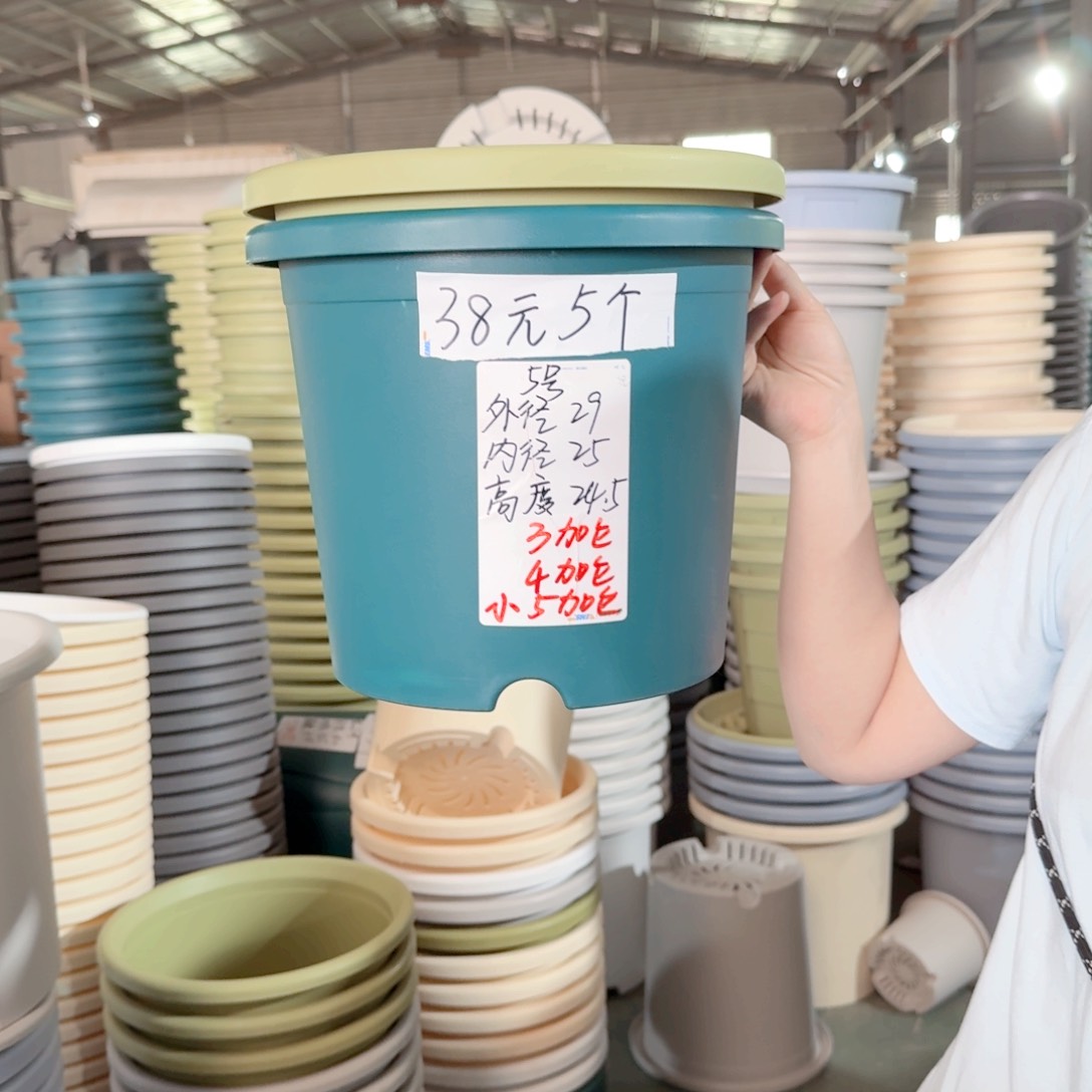 微瑕5#无拖果绿6个