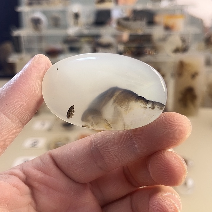 玛瑙/玉髓吊坠(不含链)未镶嵌