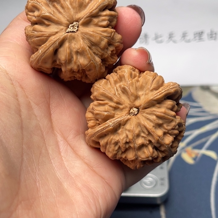文玩核桃把件粗筋45