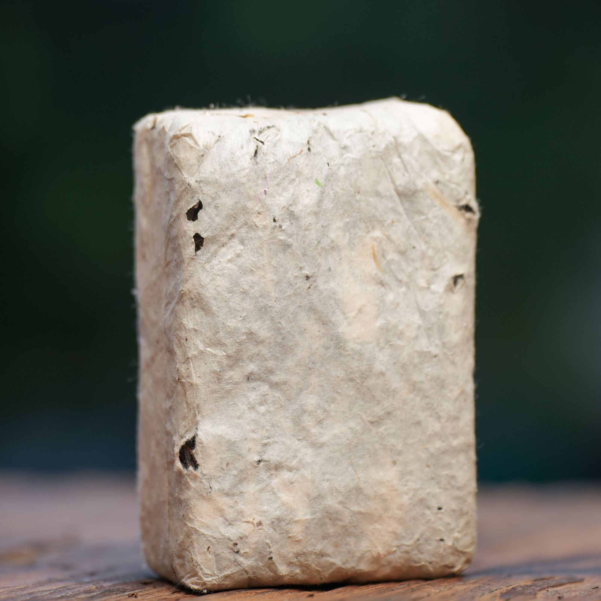 95白纸砖（1995）稀世珍堡、三级茶【云山茶庄茶趣苑】广西梧州六堡茶