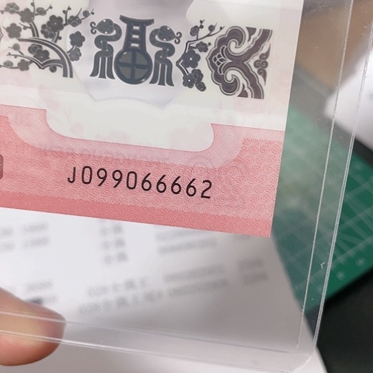 塑料2025年蛇年纪念钞靓号