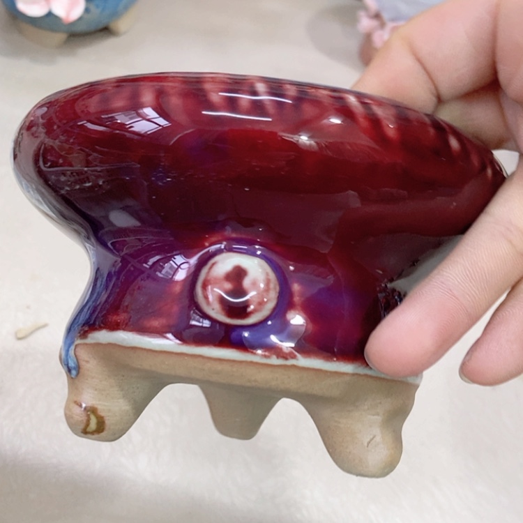 【闪购商品】红陶福利