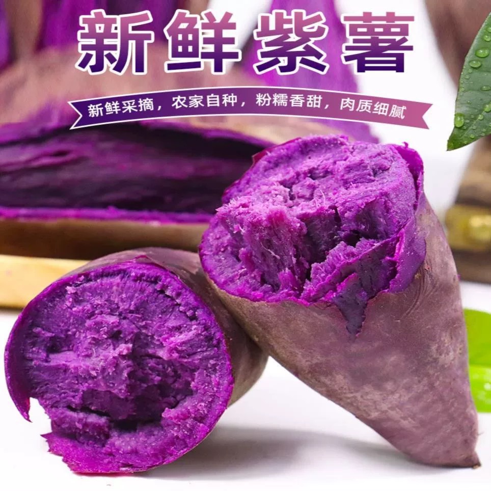 新鲜紫罗兰紫薯沙地现挖粉糯香甜粗粮早餐
