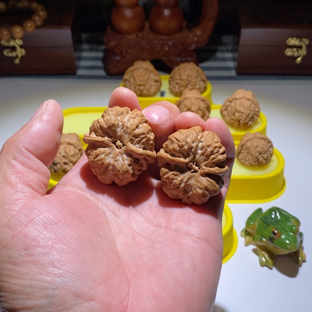 柏香籽/百香籽吊坠林**_