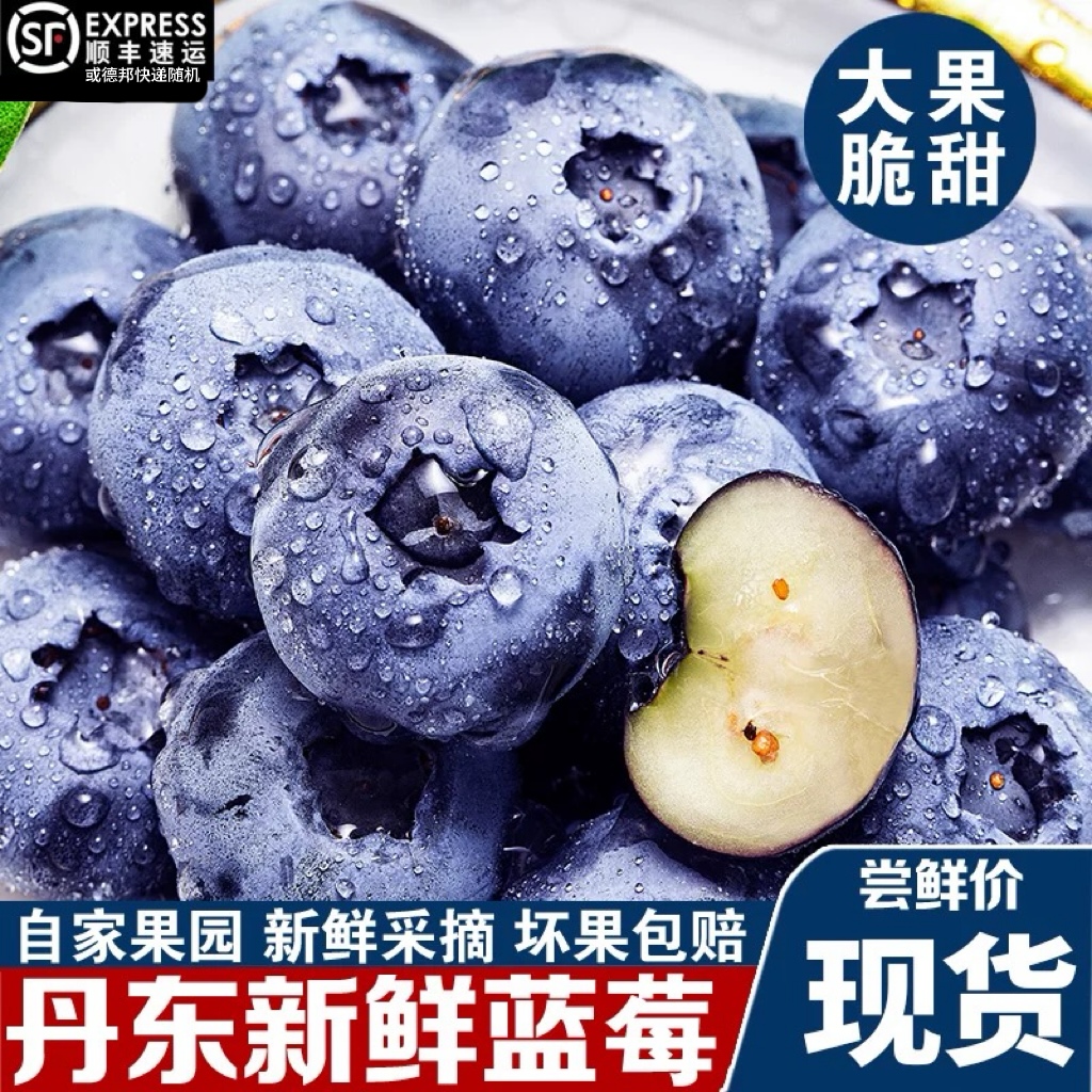 12-22mm规格 顺丰包邮 丹东露天蓝莓 孕妇孩子水果 脆甜新鲜 现摘现发 花青素 叶黄素 100g±3/带盒-W-C辽宁省