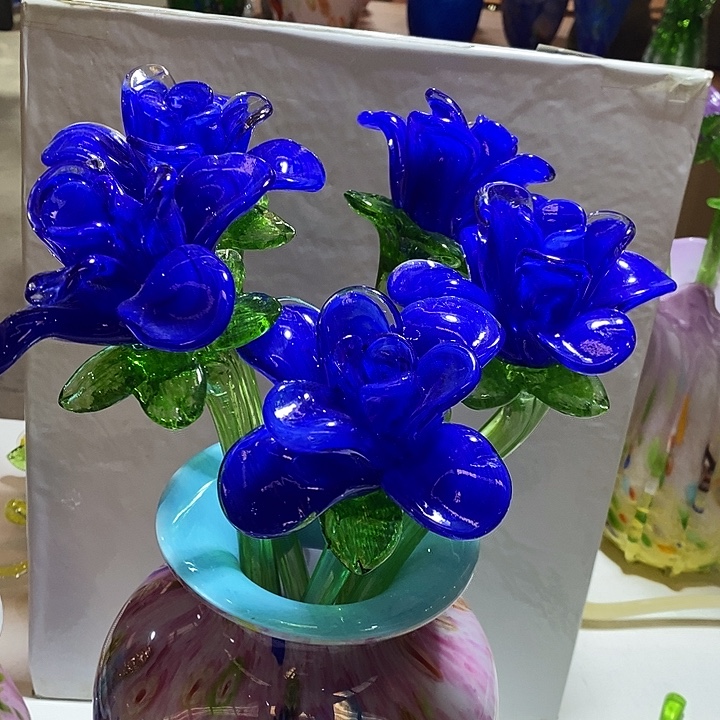 不***嫌5只花高45厘米宽12