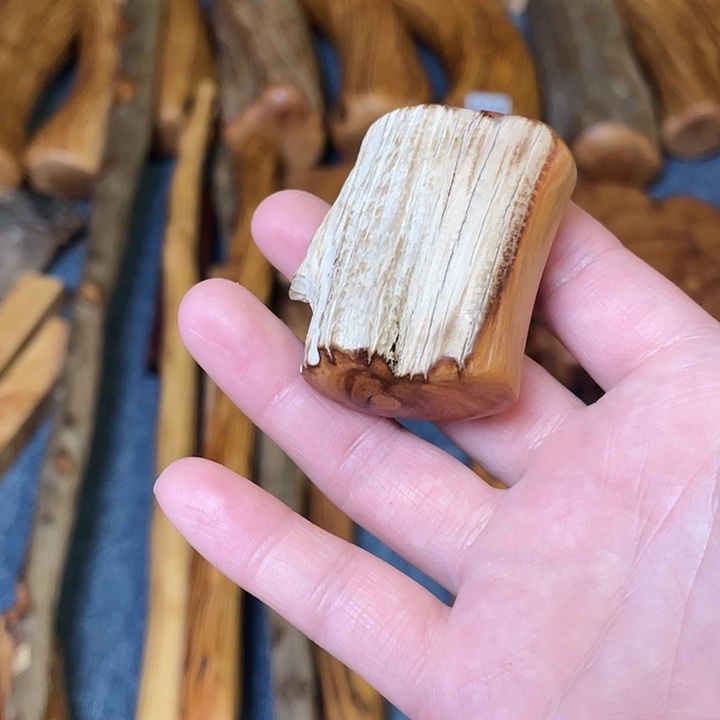 天***乐大叶紫檀（黑酸枝木类）太行崖柏手把