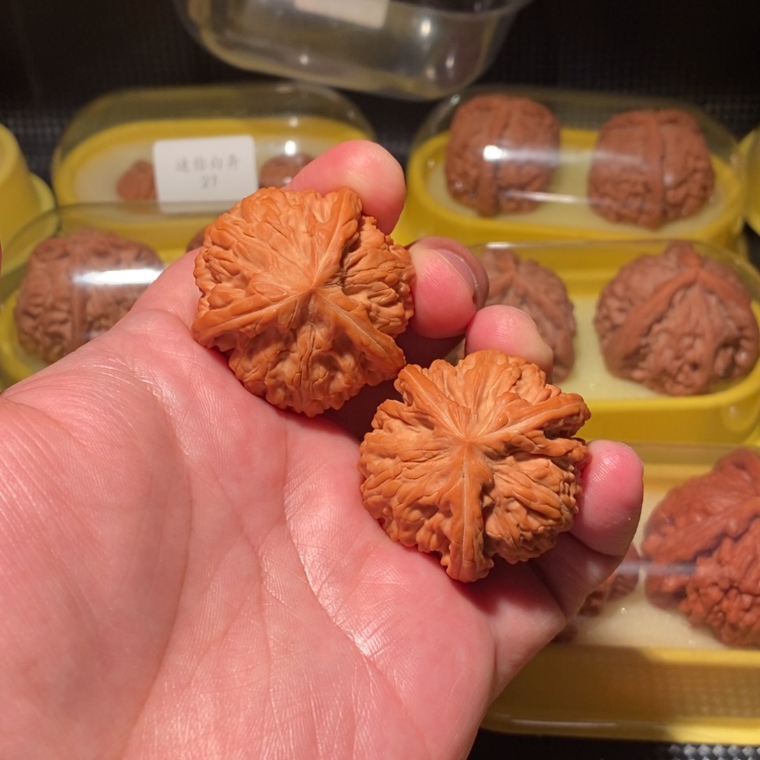 之***余39御龙粗筋球奔精品对