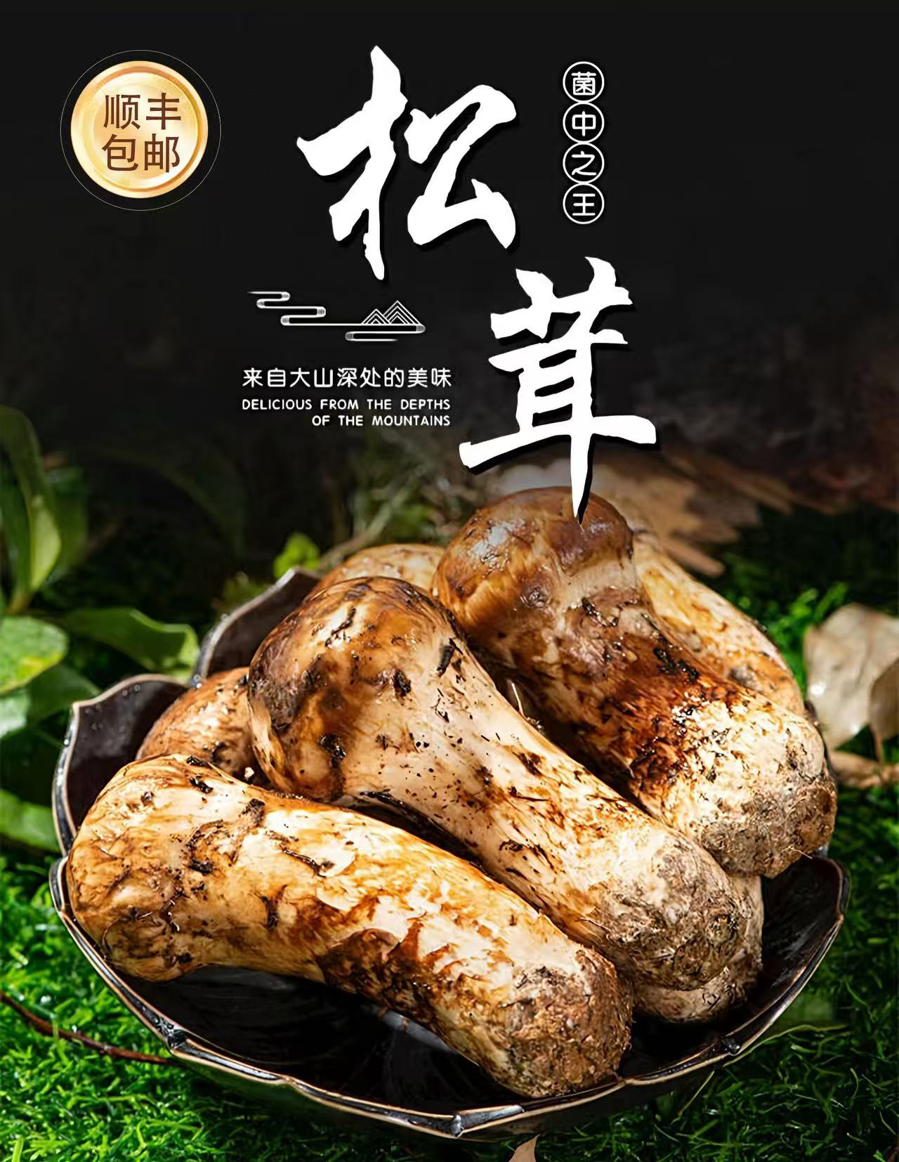 香格里拉野生新鲜松茸（顺丰冷链包邮）