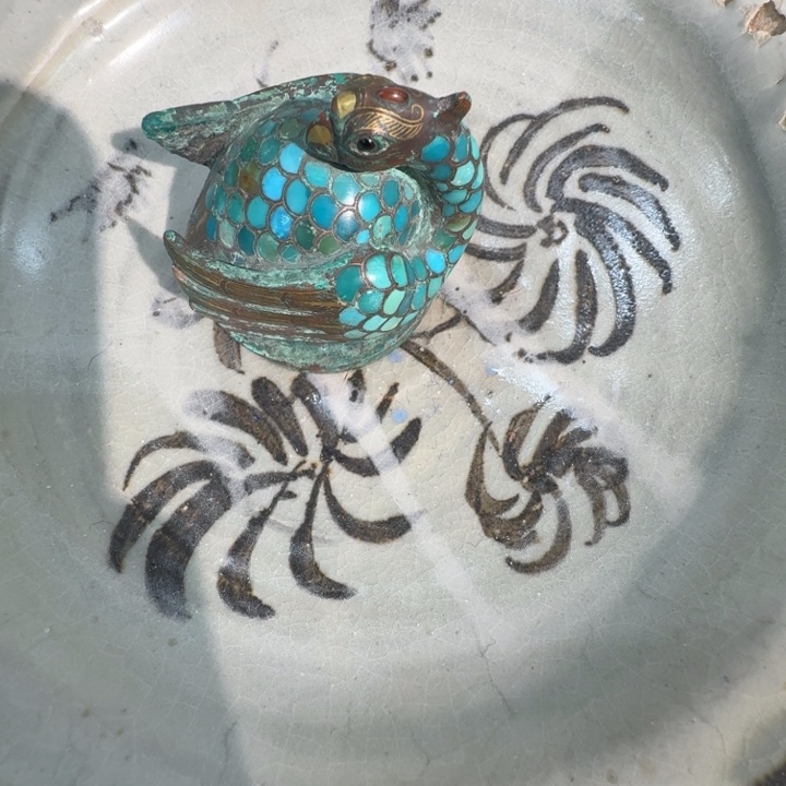 茶宠儒*888888888888888