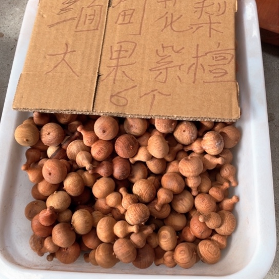 非洲紫檀（红花梨）