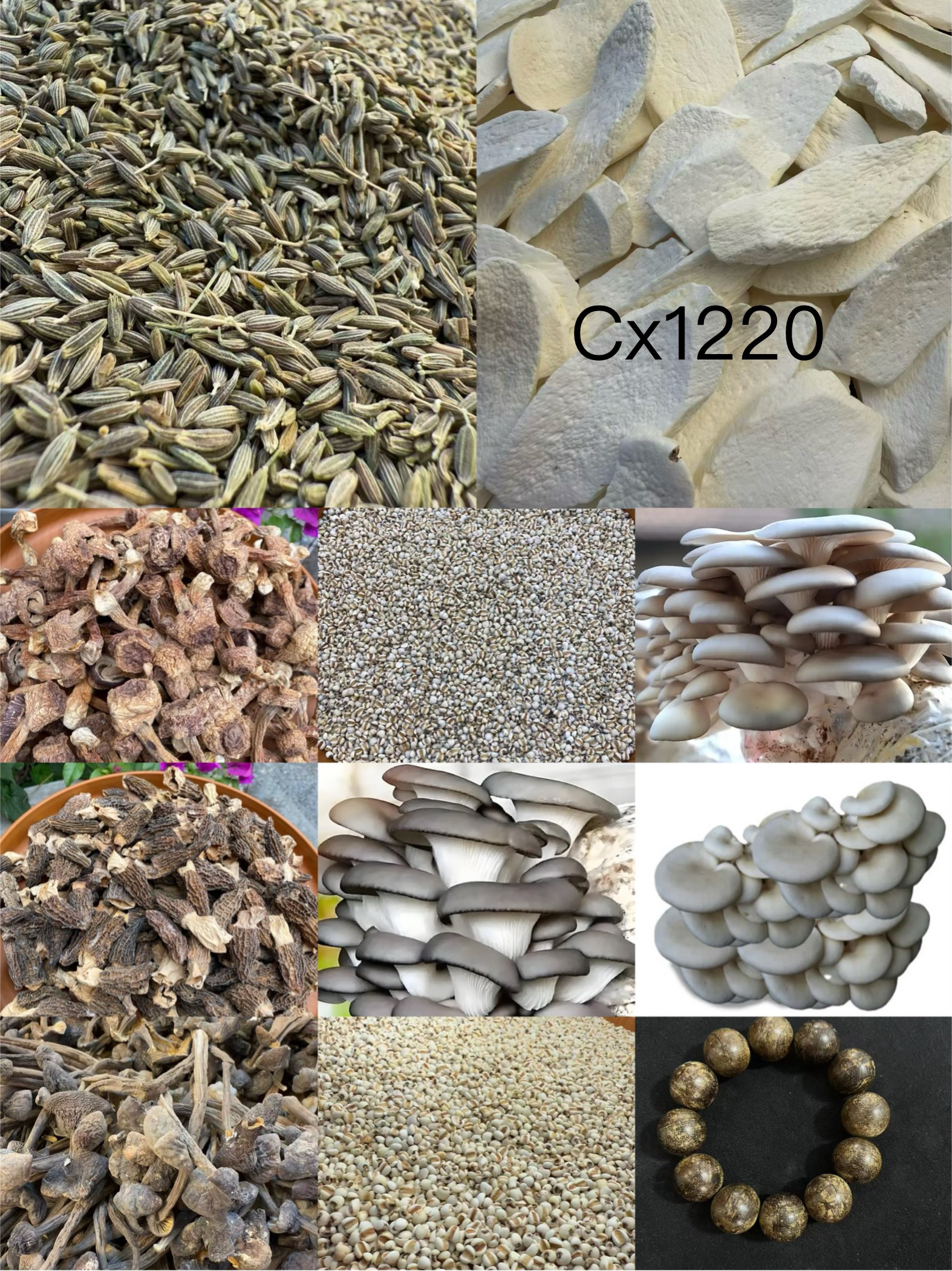【孙哥专属土特产cx-1220】多样性发货 重量50克
