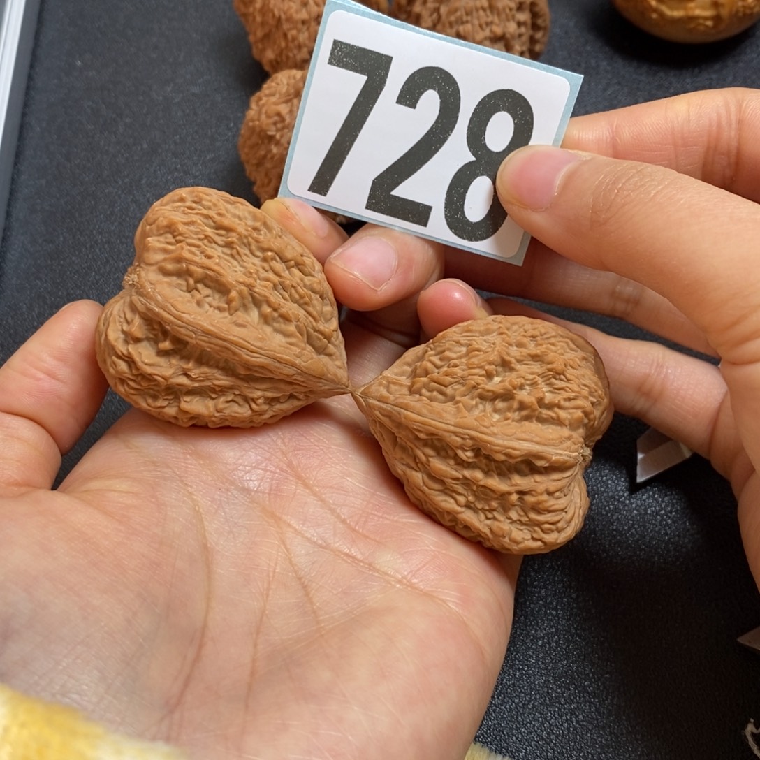 核桃728塔尖大肚异性全品