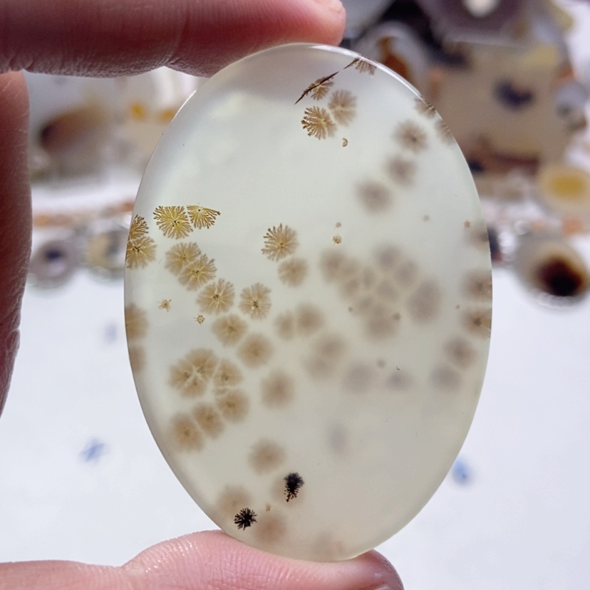 【闪购商品】玛瑙/玉髓颈饰未镶嵌