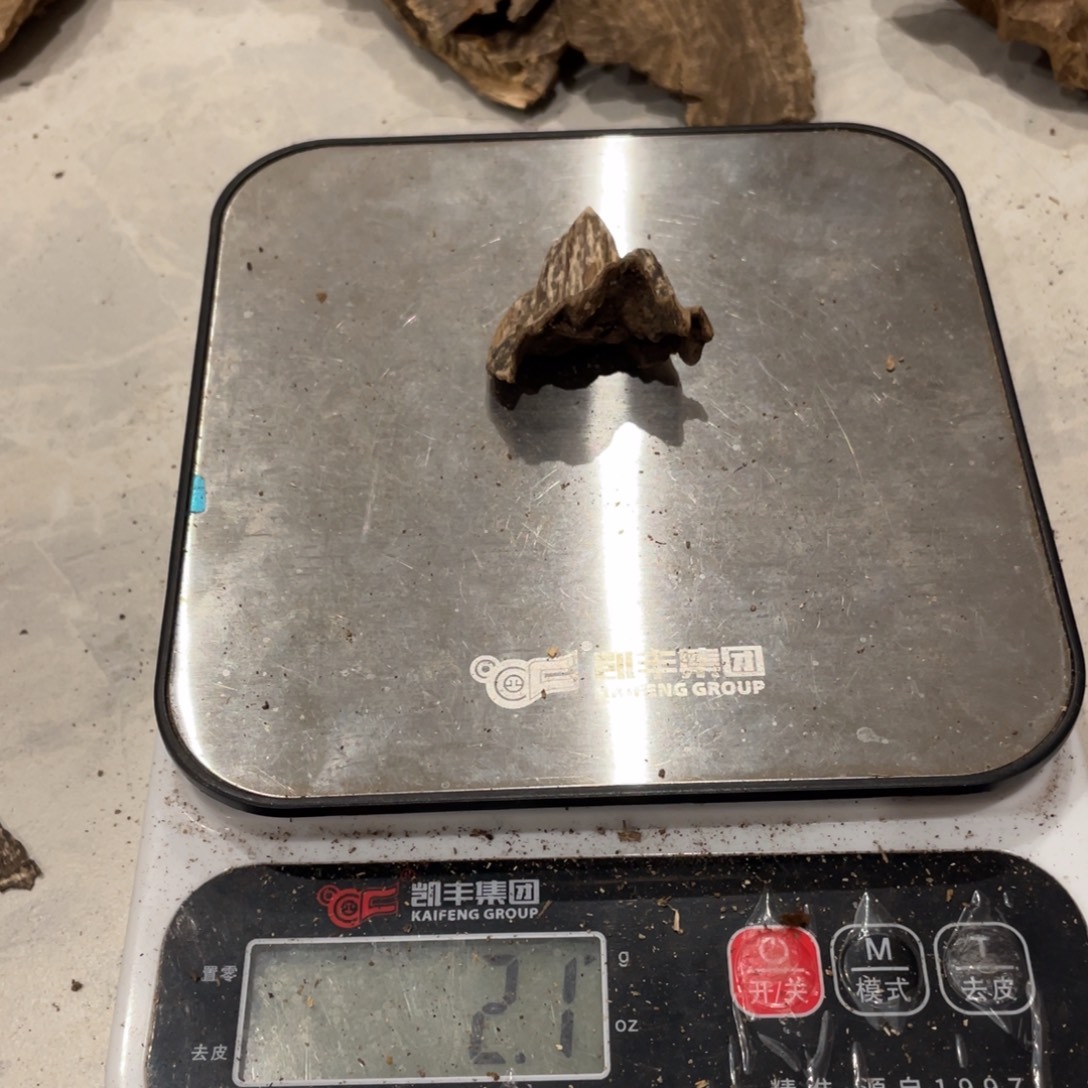 一***1沉香沉香枕海南尖峰岭壳子2g