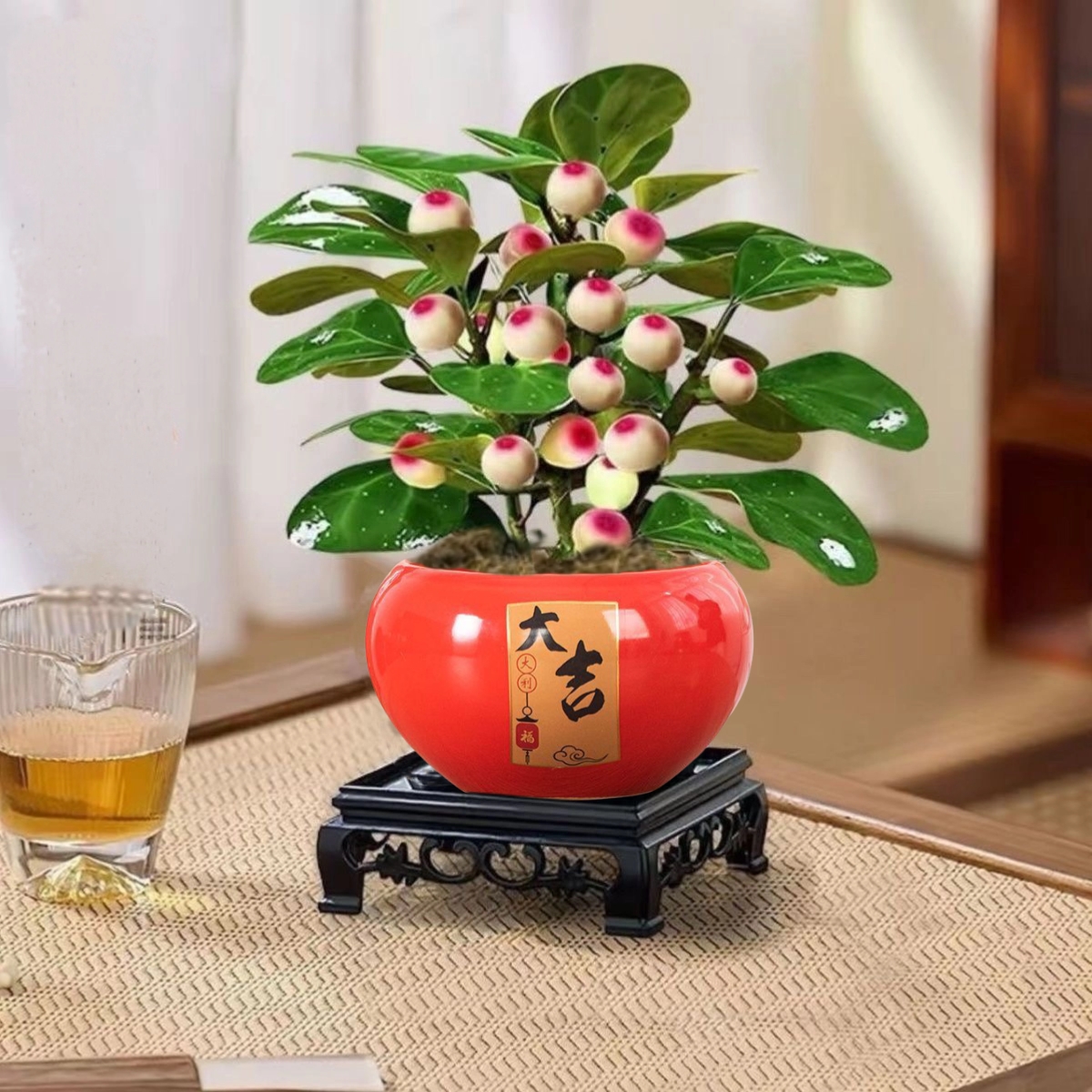 带果小盼菩提新中式盆景室内桌面微景观盆栽茶台绿植观叶观果植物