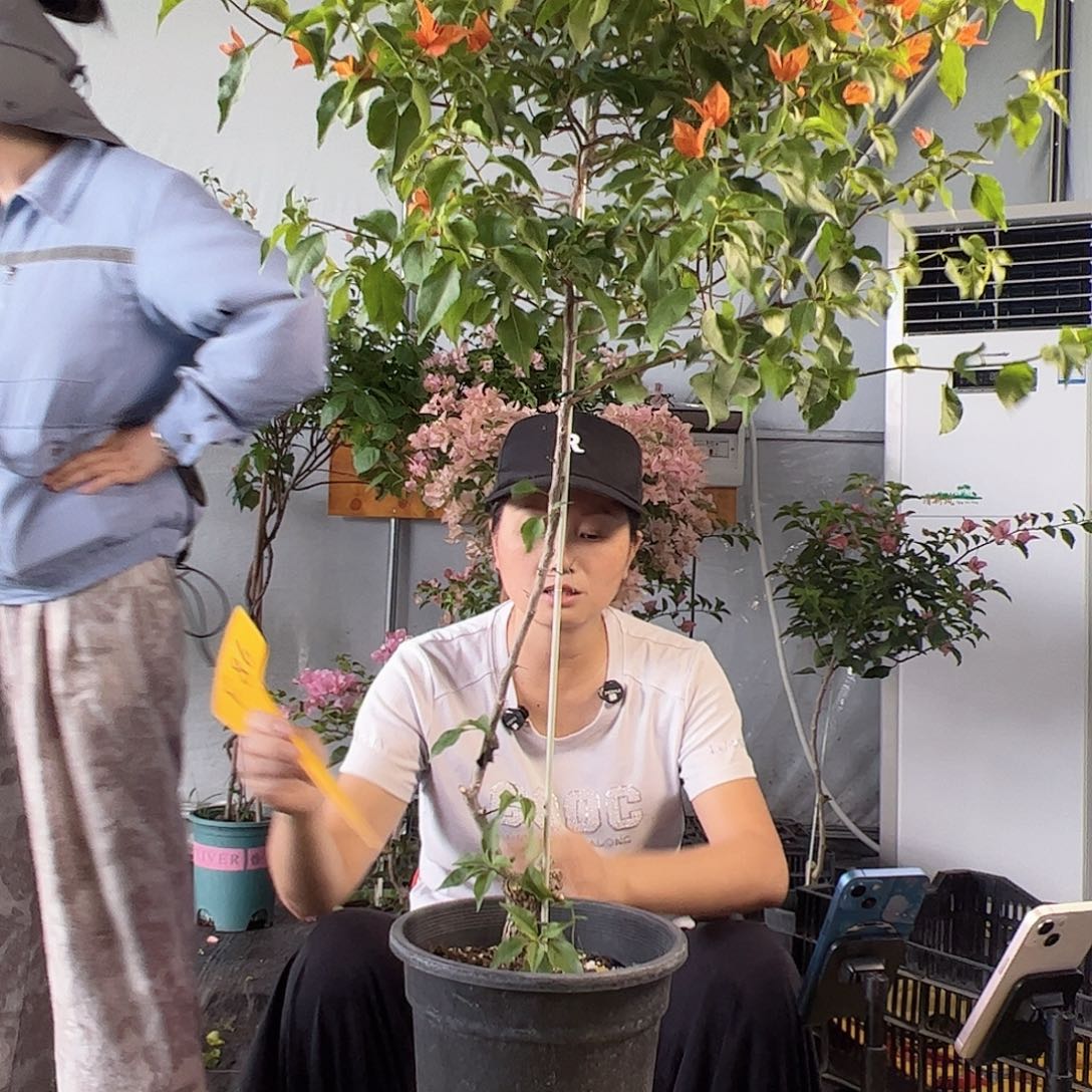 是***啊F86橙桑巴棒棒糖